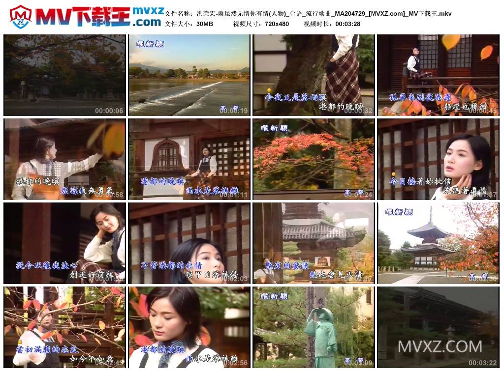 洪荣宏-雨虽然无情你有情(人物)_台语_流行歌曲_MA204729